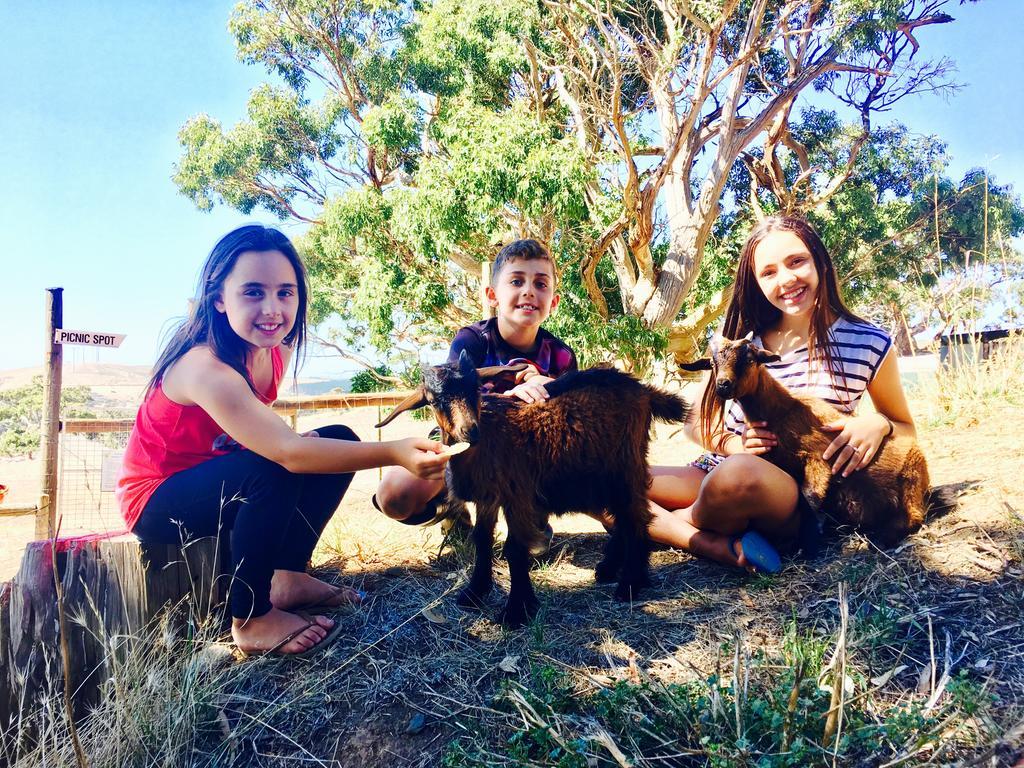 Morella Farmstay Cape Jervis Kültér fotó