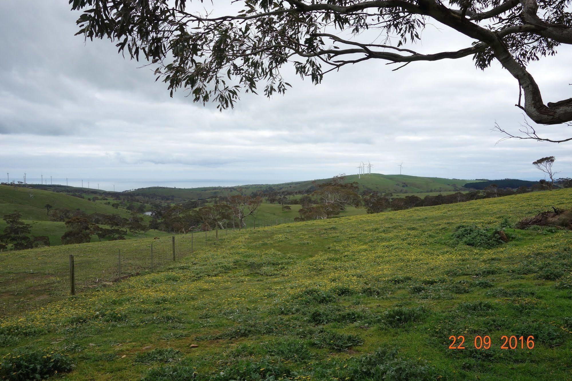 Morella Farmstay Cape Jervis Kültér fotó